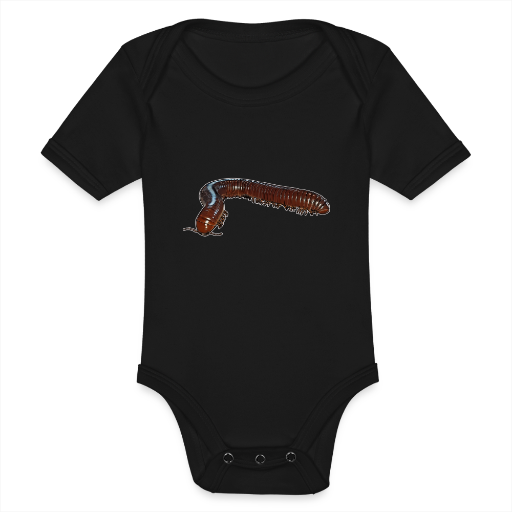 Baby Bio Body kurz Ophistreptus guineensis - Schwarz