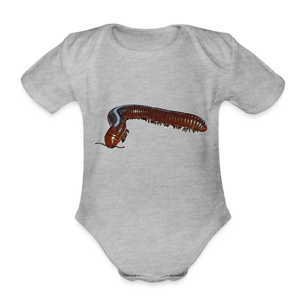 Baby Bio Body kurz Ophistreptus guineensis - Grau meliert