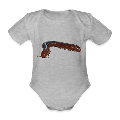 Baby Bio Body kurz Ophistreptus guineensis - Grau meliert