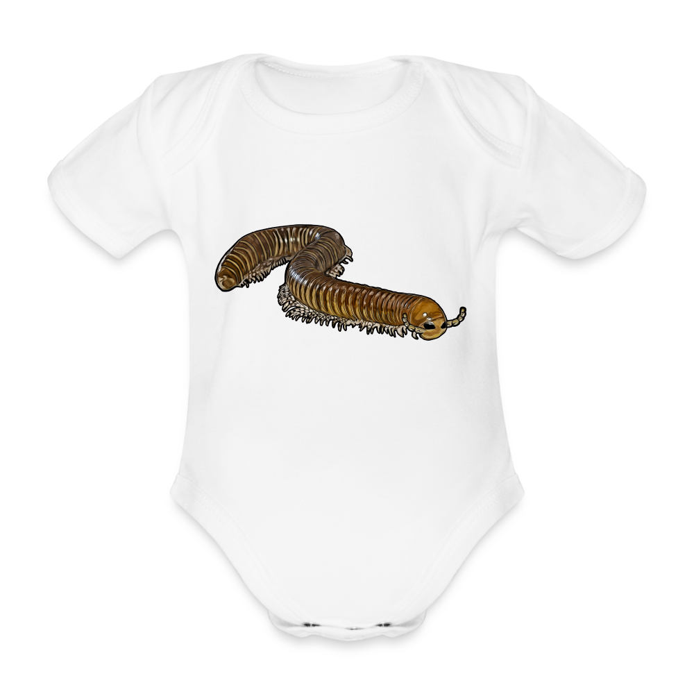 Baby Bio Body kurz Telodeinopus aoutii - weiß