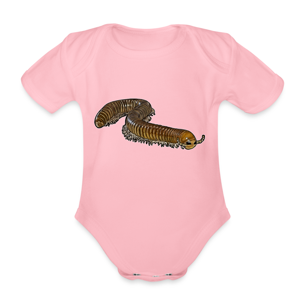 Baby Bio Body kurz Telodeinopus aoutii - Hellrosa