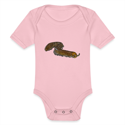 Baby Bio Body kurz Telodeinopus aoutii - Hellrosa