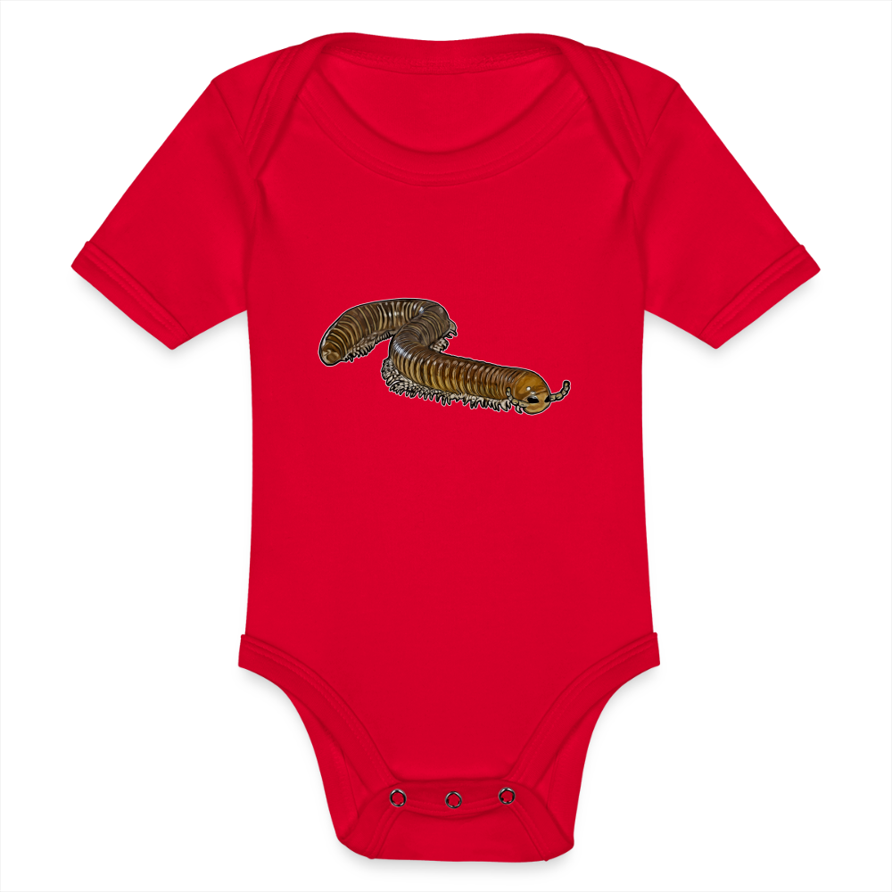 Baby Bio Body kurz Telodeinopus aoutii - Rot