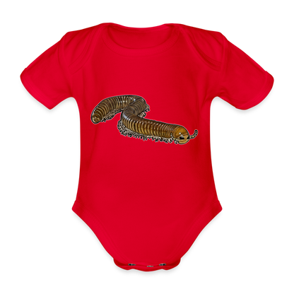 Baby Bio Body kurz Telodeinopus aoutii - Rot