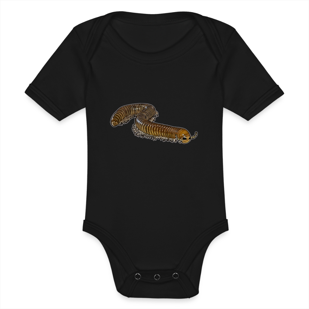 Baby Bio Body kurz Telodeinopus aoutii - Schwarz