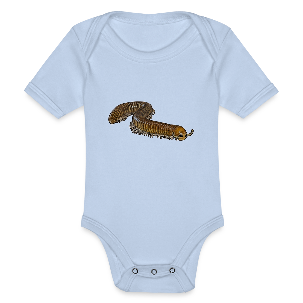 Baby Bio Body kurz Telodeinopus aoutii - Sky