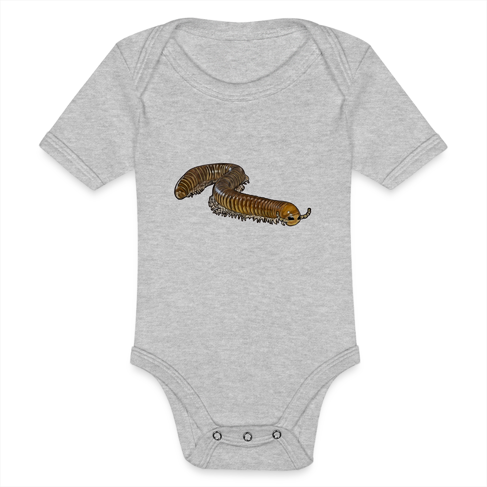 Baby Bio Body kurz Telodeinopus aoutii - Grau meliert