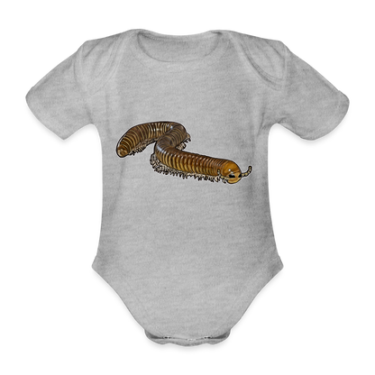 Baby Bio Body kurz Telodeinopus aoutii - Grau meliert