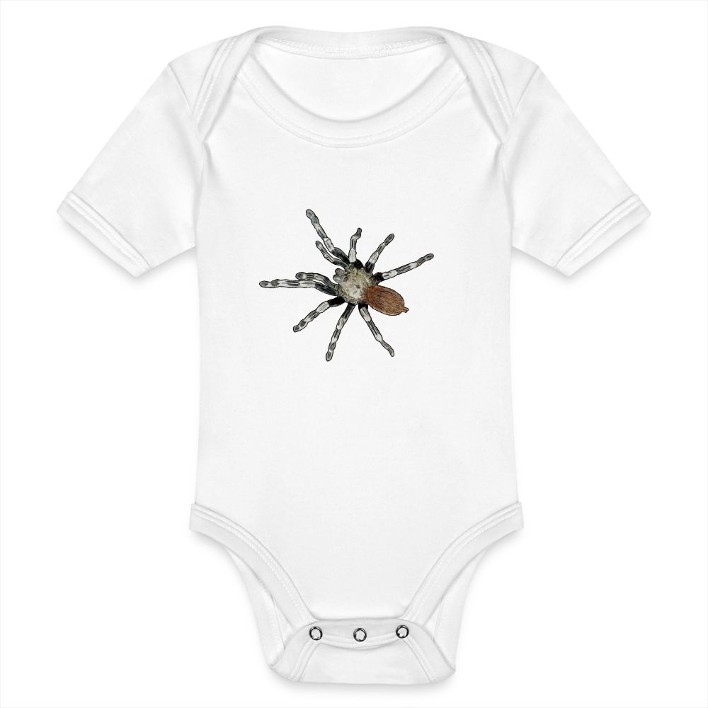 Baby Bio Body kurz Nhandu chromatus - weiß