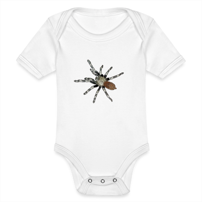 Baby Bio Body kurz Nhandu chromatus - weiß