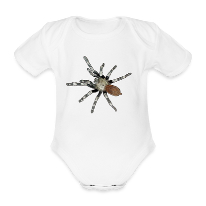 Baby Bio Body kurz Nhandu chromatus - weiß