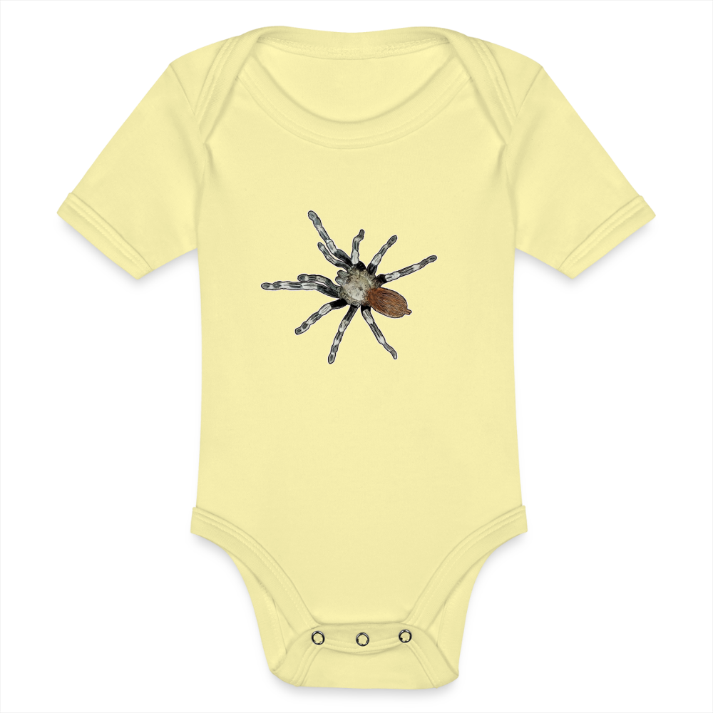 Baby Bio Body kurz Nhandu chromatus - Hellgelb