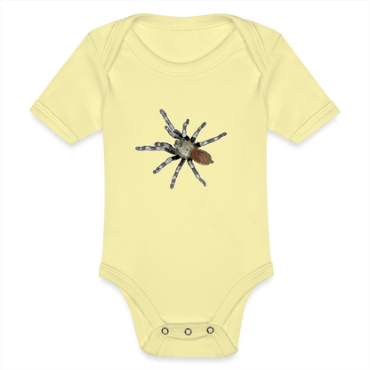 Baby Bio Body kurz Nhandu chromatus - Hellgelb