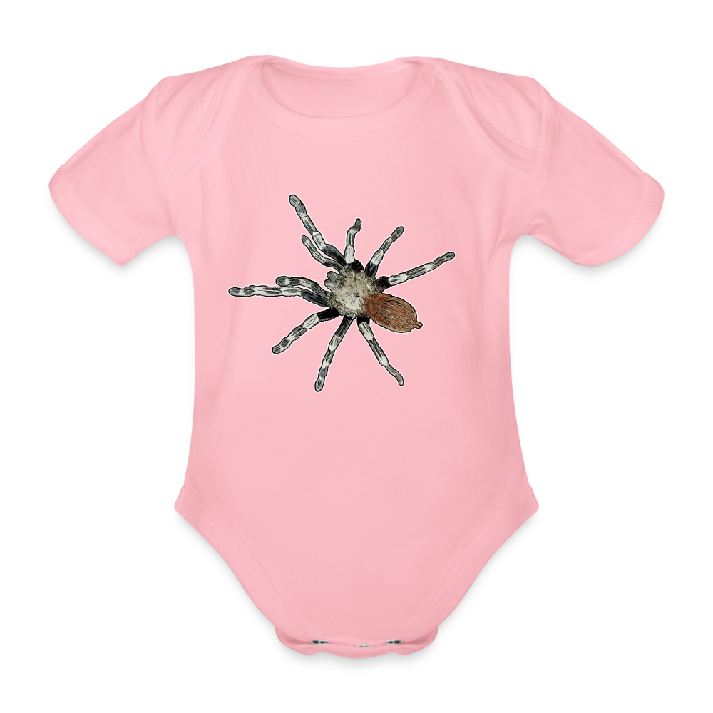 Baby Bio Body kurz Nhandu chromatus - Hellrosa