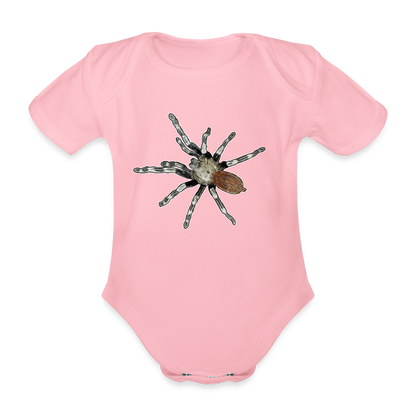 Baby Bio Body kurz Nhandu chromatus - Hellrosa