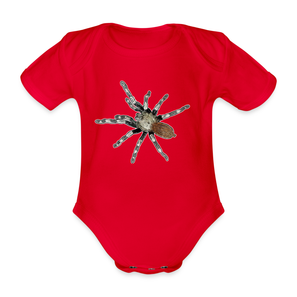 Baby Bio Body kurz Nhandu chromatus - Rot