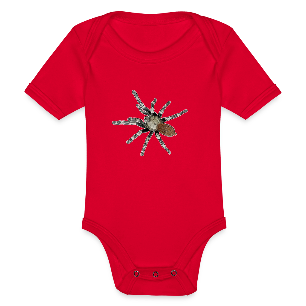 Baby Bio Body kurz Nhandu chromatus - Rot