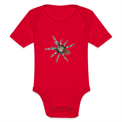 Baby Bio Body kurz Nhandu chromatus - Rot