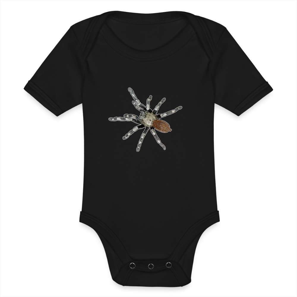 Baby Bio Body kurz Nhandu chromatus - Schwarz