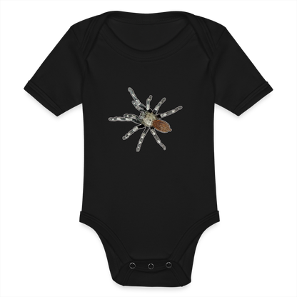 Baby Bio Body kurz Nhandu chromatus - Schwarz