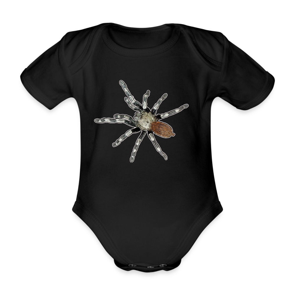 Baby Bio Body kurz Nhandu chromatus - Schwarz