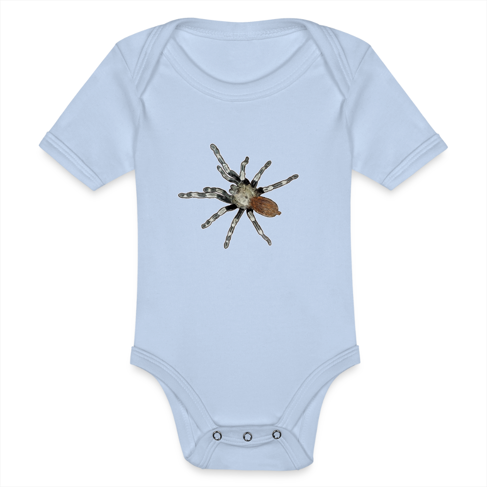 Baby Bio Body kurz Nhandu chromatus - Sky