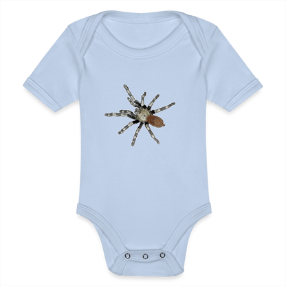 Baby Bio Body kurz Nhandu chromatus - Sky