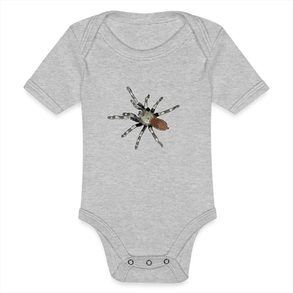 Baby Bio Body kurz Nhandu chromatus - Grau meliert