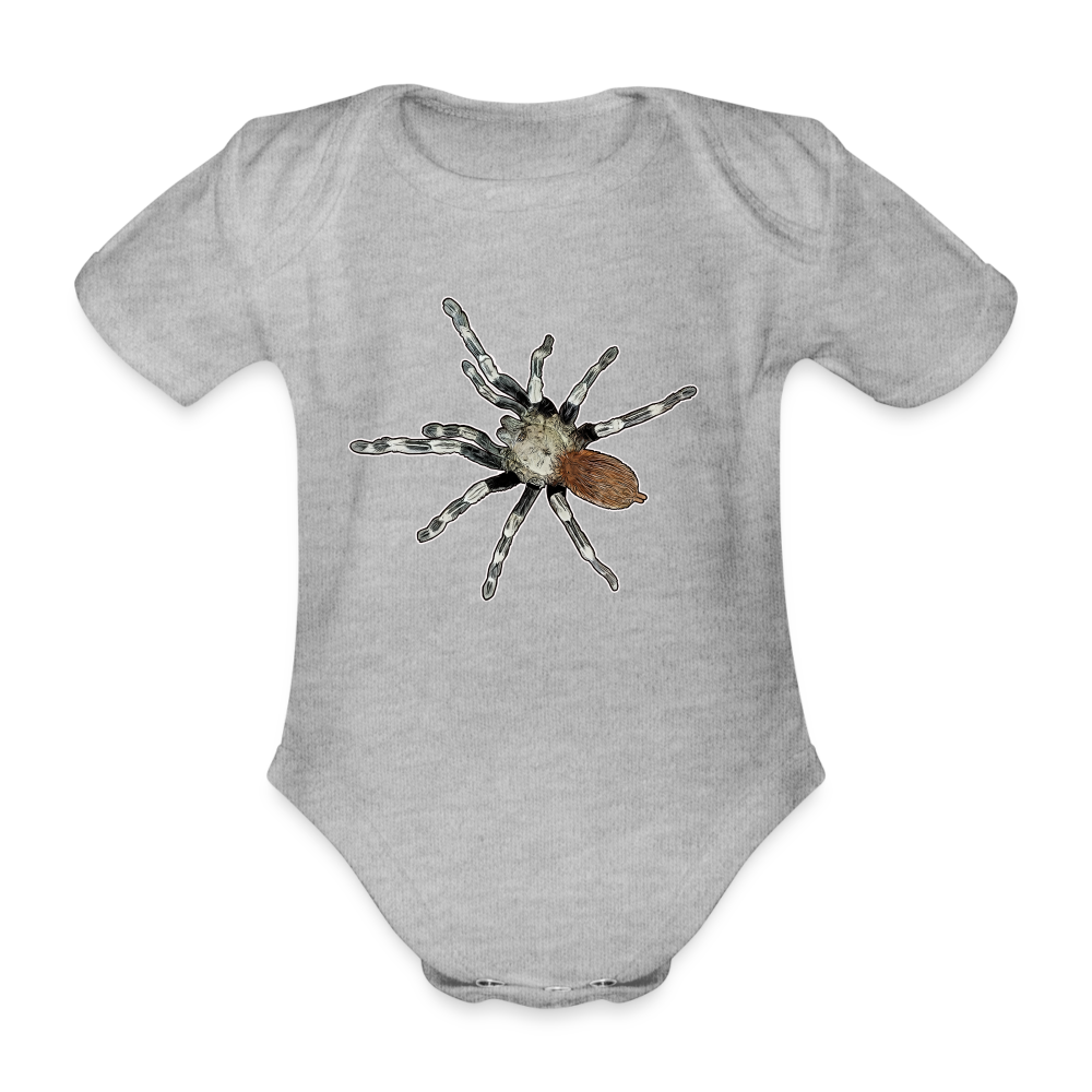 Baby Bio Body kurz Nhandu chromatus - Grau meliert