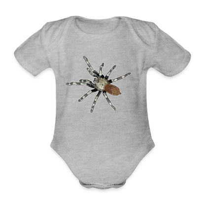 Baby Bio Body kurz Nhandu chromatus - Grau meliert