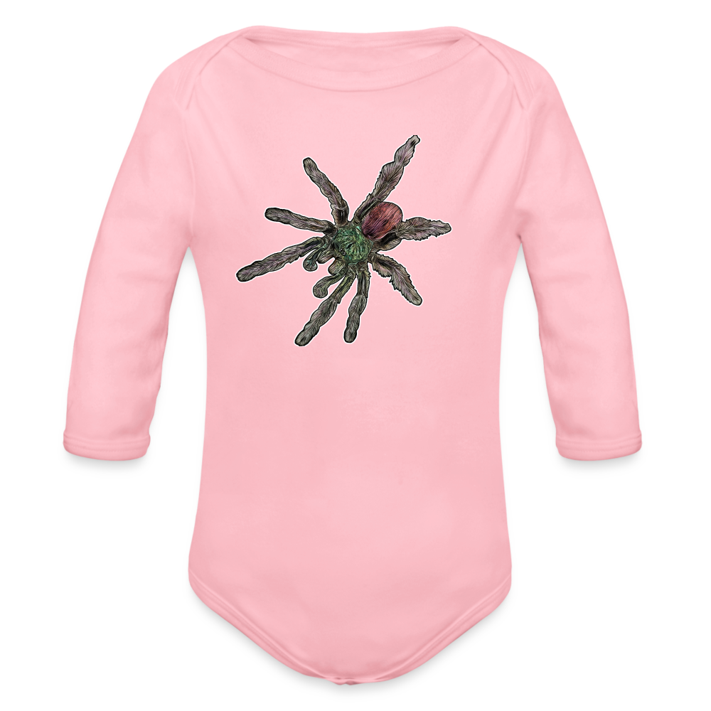 Baby Bio Body lang Caribena versicolor - Hellrosa