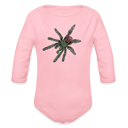 Baby Bio Body lang Caribena versicolor - Hellrosa