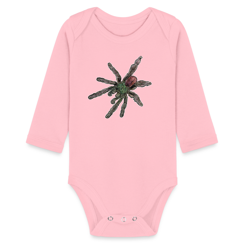 Baby Bio Body lang Caribena versicolor - Hellrosa