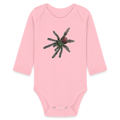 Baby Bio Body lang Caribena versicolor - Hellrosa