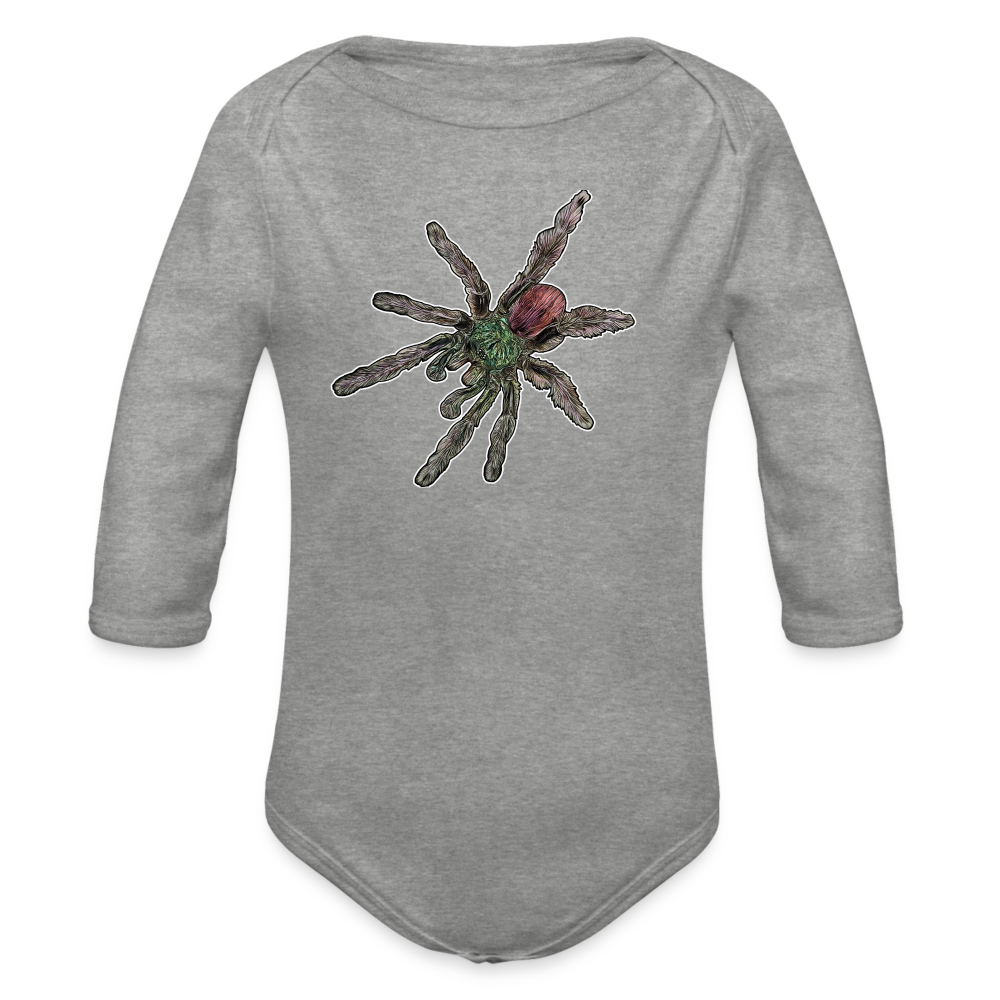 Baby Bio Body lang Caribena versicolor - Grau meliert