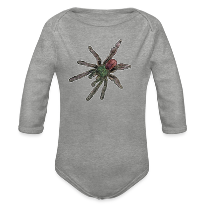 Baby Bio Body lang Caribena versicolor - Grau meliert