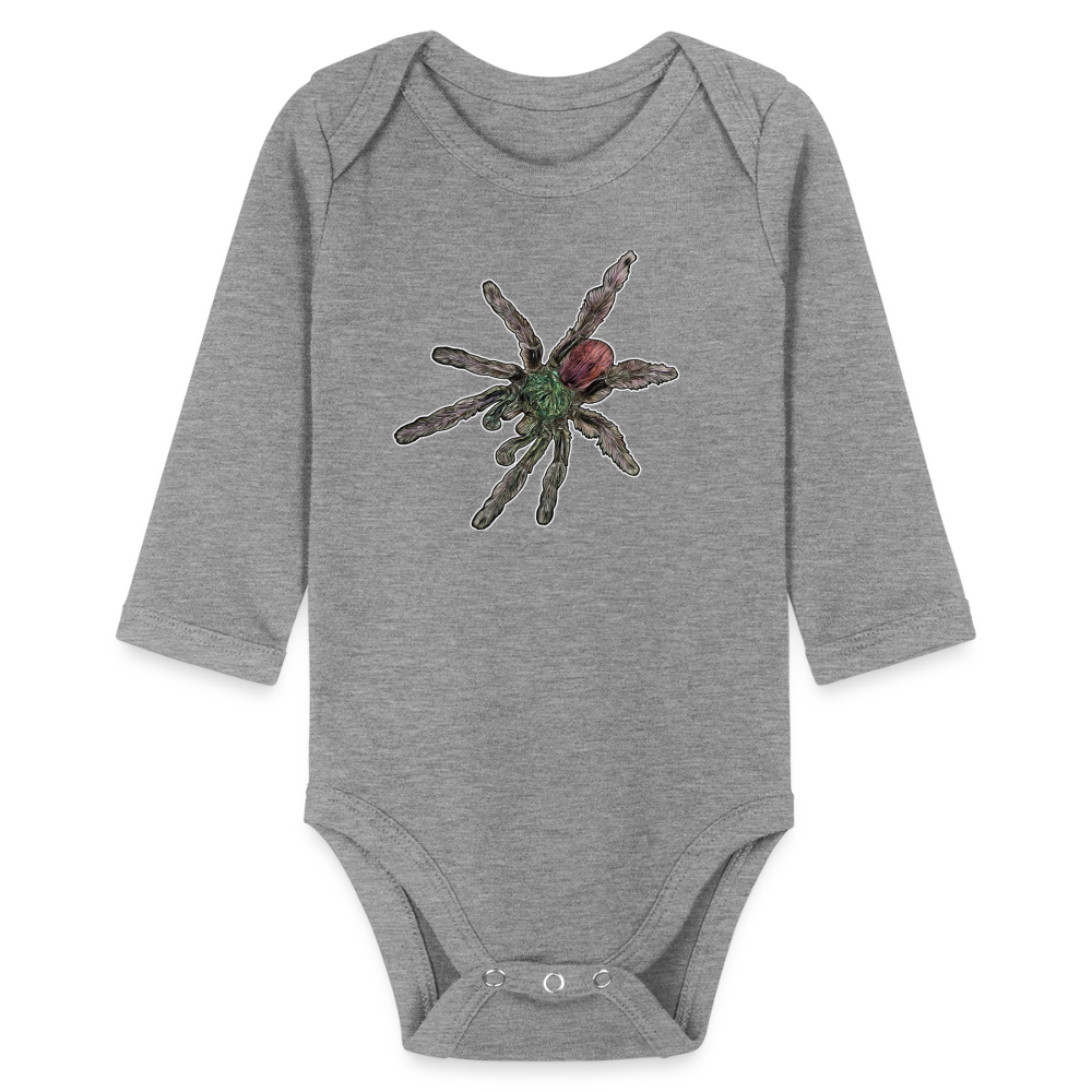 Baby Bio Body lang Caribena versicolor - Grau meliert