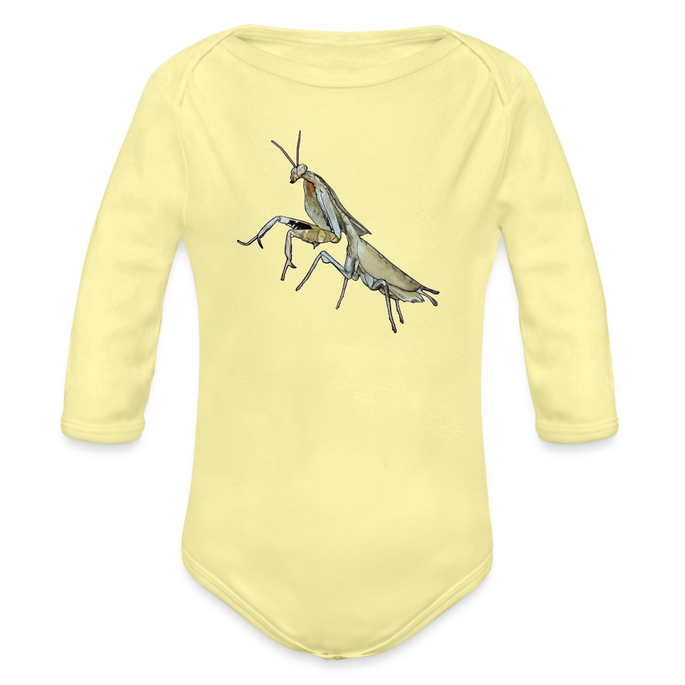 Baby Bio Body lang Deroplatys truncata female - Hellgelb