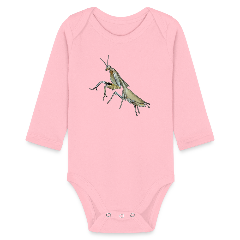 Baby Bio Body lang Deroplatys truncata female - Hellrosa