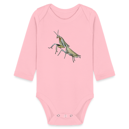 Baby Bio Body lang Deroplatys truncata female - Hellrosa