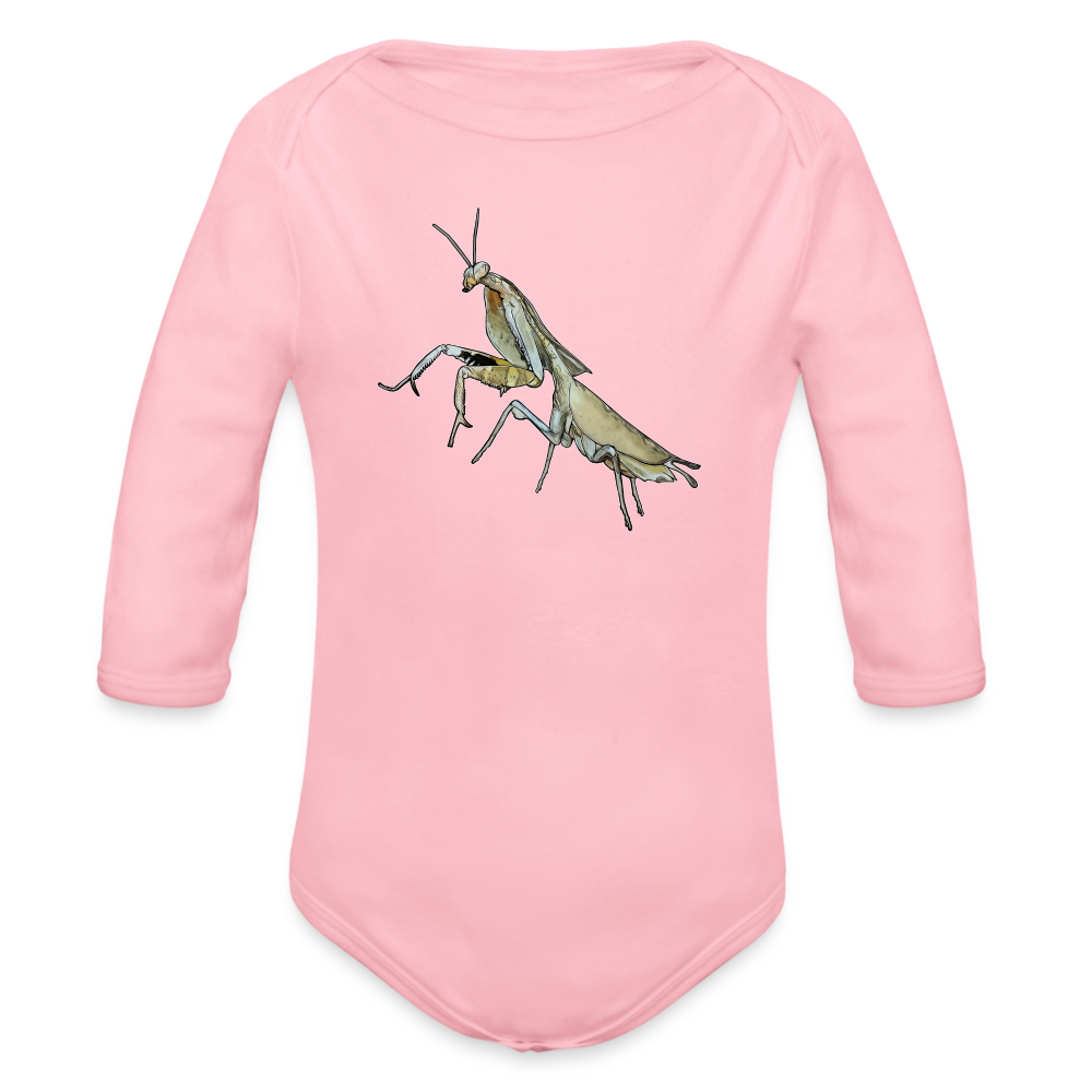 Baby Bio Body lang Deroplatys truncata female - Hellrosa