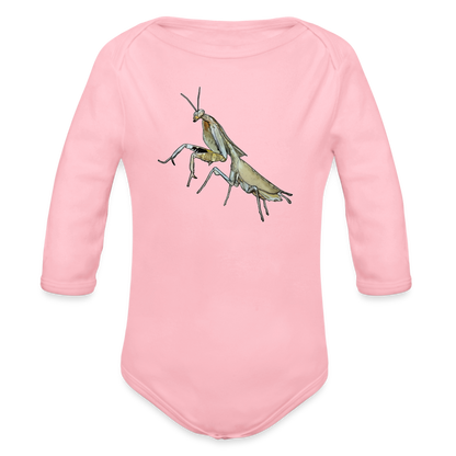 Baby Bio Body lang Deroplatys truncata female - Hellrosa