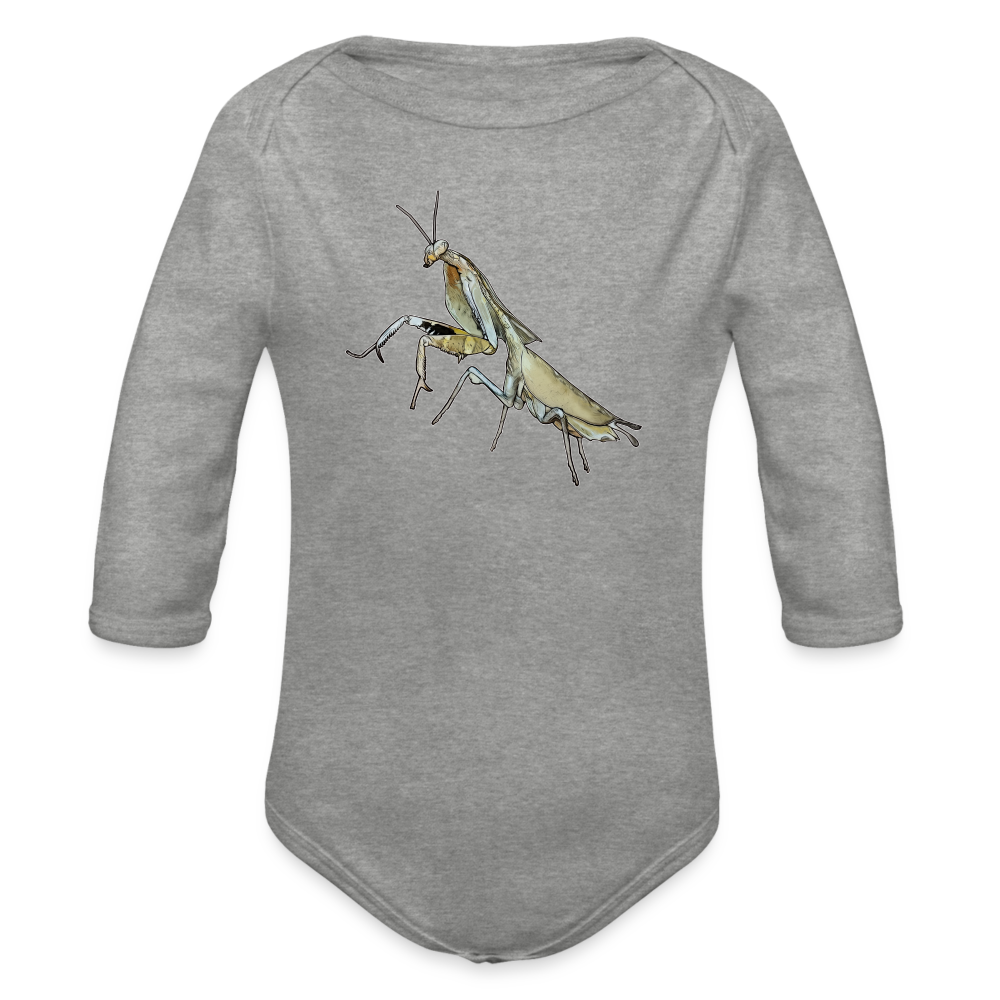 Baby Bio Body lang Deroplatys truncata female - Grau meliert