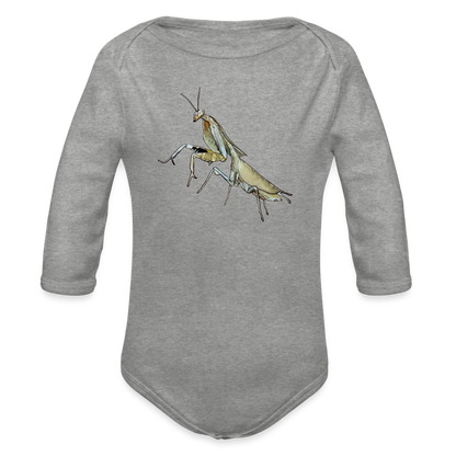 Baby Bio Body lang Deroplatys truncata female - Grau meliert