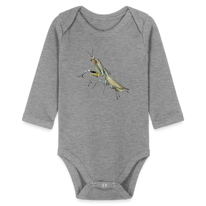 Baby Bio Body lang Deroplatys truncata female - Grau meliert