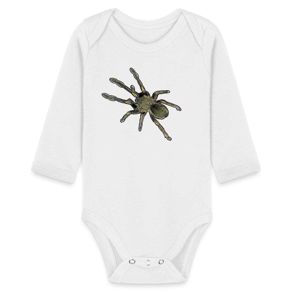 Baby Bio Body lang Ephebopus murinus - weiß