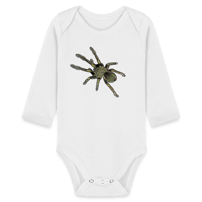 Baby Bio Body lang Ephebopus murinus - weiß