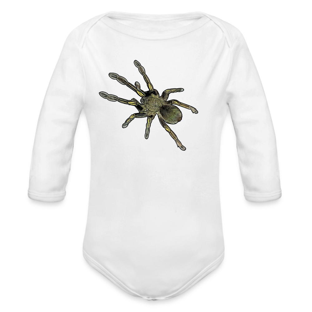 Baby Bio Body lang Ephebopus murinus - weiß