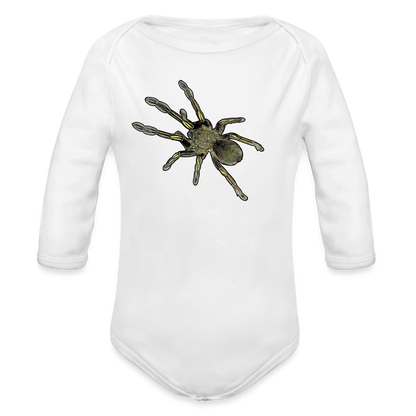 Baby Bio Body lang Ephebopus murinus - weiß