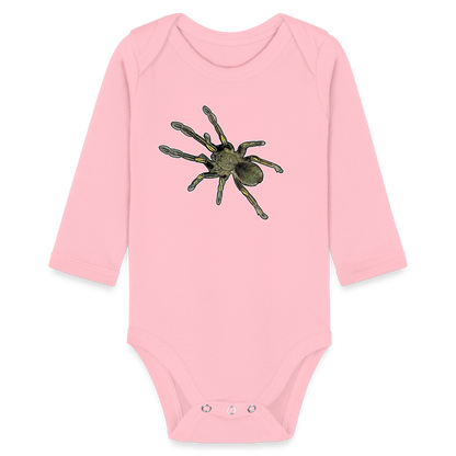 Baby Bio Body lang Ephebopus murinus - Hellrosa